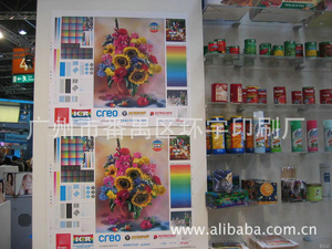 加工書籍市場(chǎng)全解析 價(jià)格、圖片、批發(fā)采購(gòu)與供應(yīng)商指南