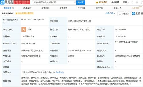 深圳計算機系統(tǒng)服務 數(shù)字時代的創(chuàng)新引擎與產(chǎn)業(yè)支柱